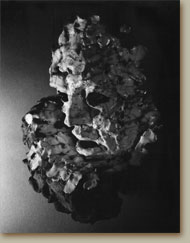 Sculpture 1 - left